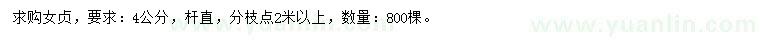 求購4公分女貞
