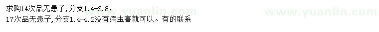 求購(gòu)14、17公分無(wú)患子