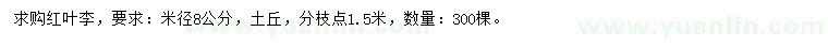 求購米徑8公分紅葉李