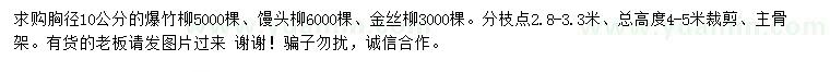 求購爆竹柳、饅頭柳、金絲柳