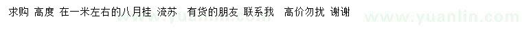 求購(gòu)高1米八月桂、流蘇