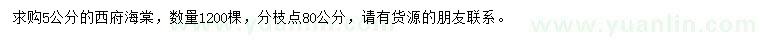 求購(gòu)5公分西府海棠