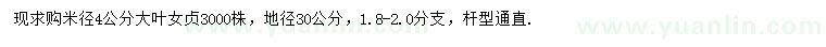 求購米徑4公分大葉女貞