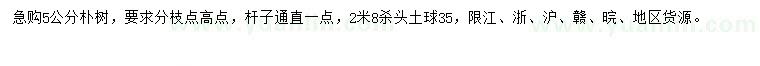 求購(gòu)5公分樸樹(shù)