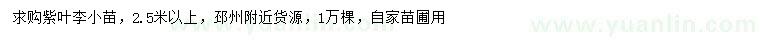 求購2.5米以上紫葉李