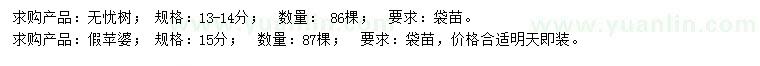 求購13-14公分無憂樹、15公分假蘋婆