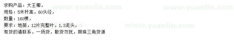 求購高5米大王椰