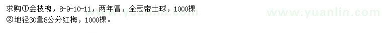 求購8-11公分金枝槐、30量8公分紅梅