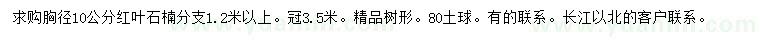 求購胸徑10公分紅葉石楠