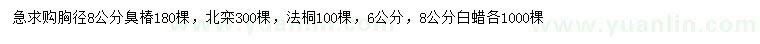 求購臭椿、北欒、法桐等