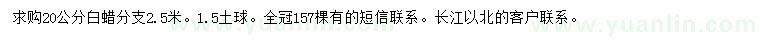求購(gòu)20公分白蠟