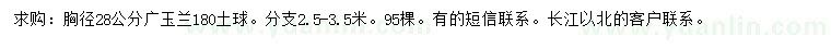 求購(gòu)胸徑28公分廣玉蘭