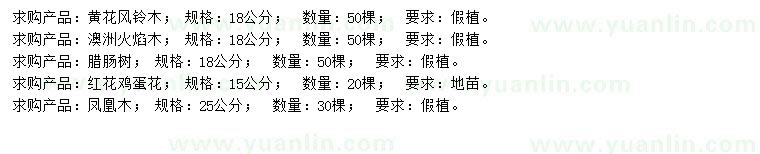 求購黃花風(fēng)鈴木、澳洲火焰木、臘腸樹等