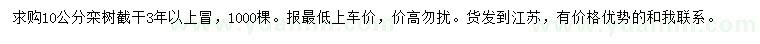求購(gòu)10公分欒樹(shù)