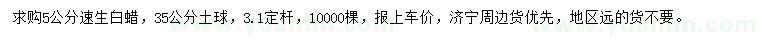 求購5公分速生白蠟