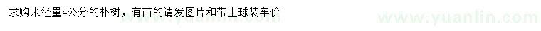 求購米徑4公分樸樹