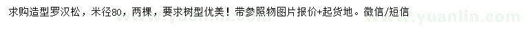 求購(gòu)米徑80公分造型羅漢松