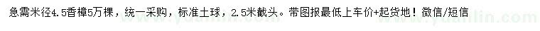 求購(gòu)米徑4.5公分香樟