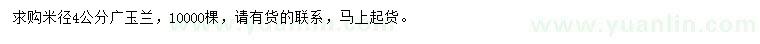 求購米徑4公分廣玉蘭