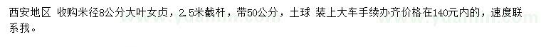 求購米徑8公分大葉女貞
