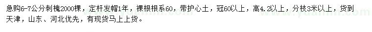 求購(gòu)6-7公分刺槐