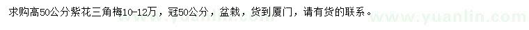 求購高50公分紫花三角梅