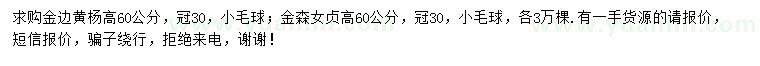 求購高60公分金邊黃楊、金森女貞