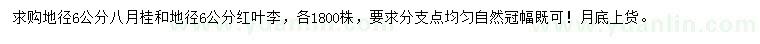 求購地徑6公分八月桂、紅葉李