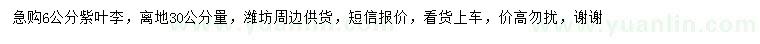 求購30公分量6公分紫葉李