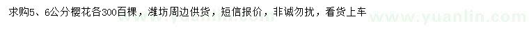 求購5、6公分晚櫻
