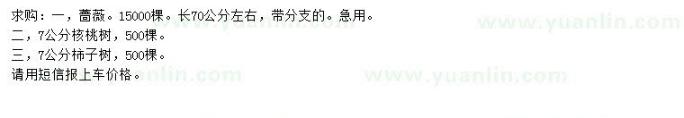 求購薔薇、核桃樹(shù)、柿子樹(shù)