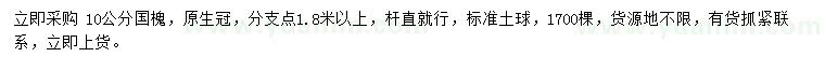 求購(gòu)10公分國(guó)槐