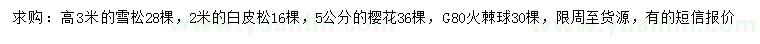 求購雪松、白皮松、櫻花等