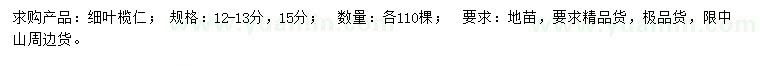 求購12-13、15公分細葉欖仁