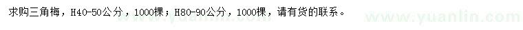 求購高40-50、80-90公分三角梅