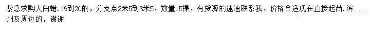 求購19-20公分大白蠟