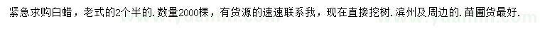求購2.5公分白蠟