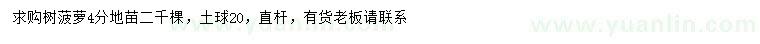 求購4公分樹菠蘿