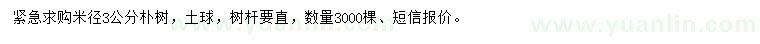 求購米徑3公分樸樹(shù)