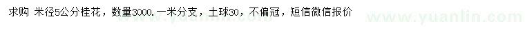 求購(gòu)米徑5公分桂花