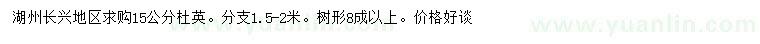 求購15公分杜英