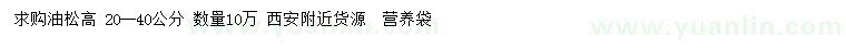 求購高20-40公分油松