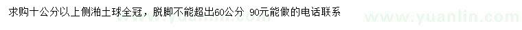 求購10公分以上側柏