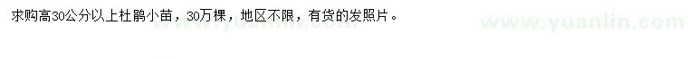 求購高30公分以上杜鵑小苗