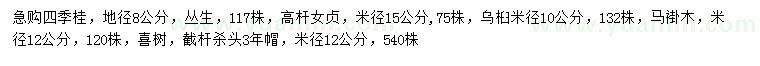 求購四季桂、高桿女貞、烏桕等