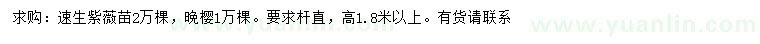求購高1.8米以上速生紫薇、晚櫻