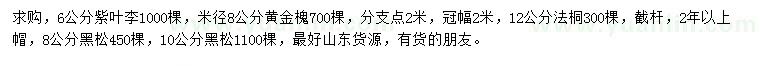 求購紫葉李、黃金槐、法桐等