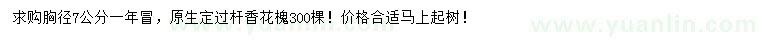 求購7公分香花槐