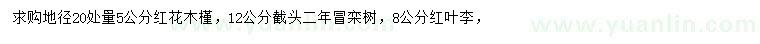 求購紅花木槿、欒樹(shù)、紅葉李