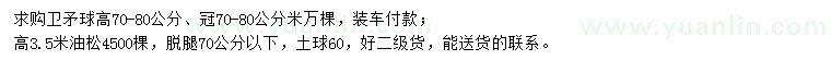 求購高70-80公分衛矛球、高3.5米油松